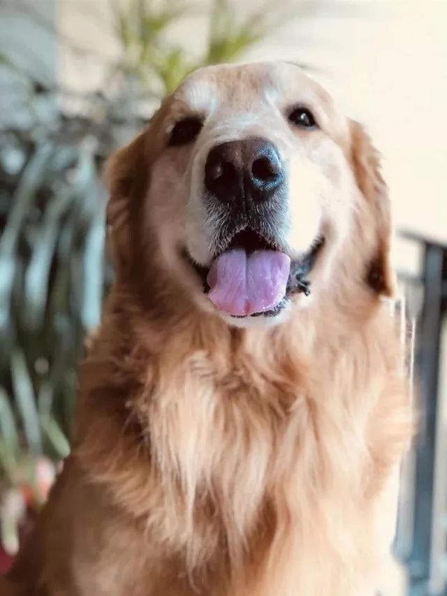 1700069e040e4c52885050702cc075a9.jpeg
