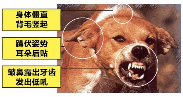 17952d619b5c4a9aac7a6bd6a20685fa.jpeg