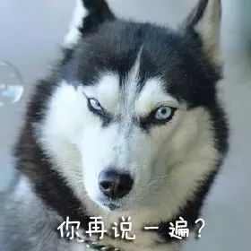 188c944b2f1f4a37a1e6ac68878521d0.jpeg