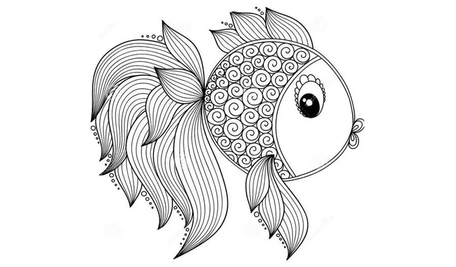 创意儿童画教程线描与水粉巧画漂亮的金鱼