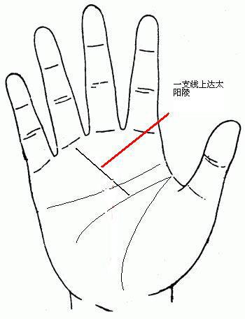 原創
            哪種手相注定有錢（發財手相掌紋圖解）？ 星座 第16張