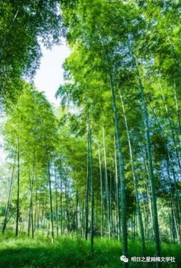 浙江郑俊鹏荒岛求生第二天没鱼竿却收获到鱼指导老师陈若