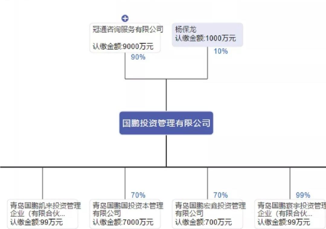 国鹏投资又名国鹏资本,杨保龙为公司总裁及创始人,公司股东有两个,一