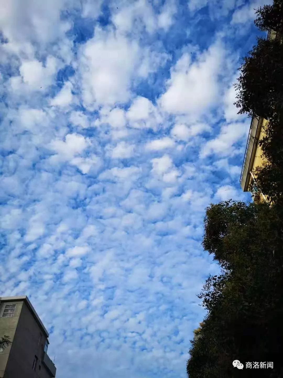 雨过天晴,商洛蓝刷爆朋友圈!(附组图)