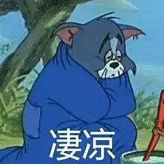 573218739af64a779ac4490480f6d335.jpeg