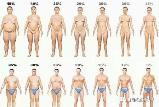 598约等于26 所以该男性的体脂率为:26%.