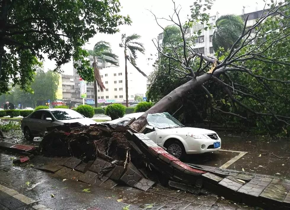 台风"山竹"登陆后,应急队伍用冲锋舟转移台山市大江镇铁滘村村民.