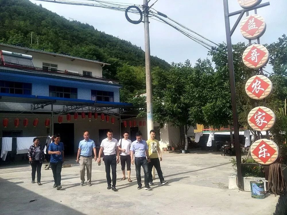 骡坪大垭的花开了,80余家农家乐邀你浪漫度夏