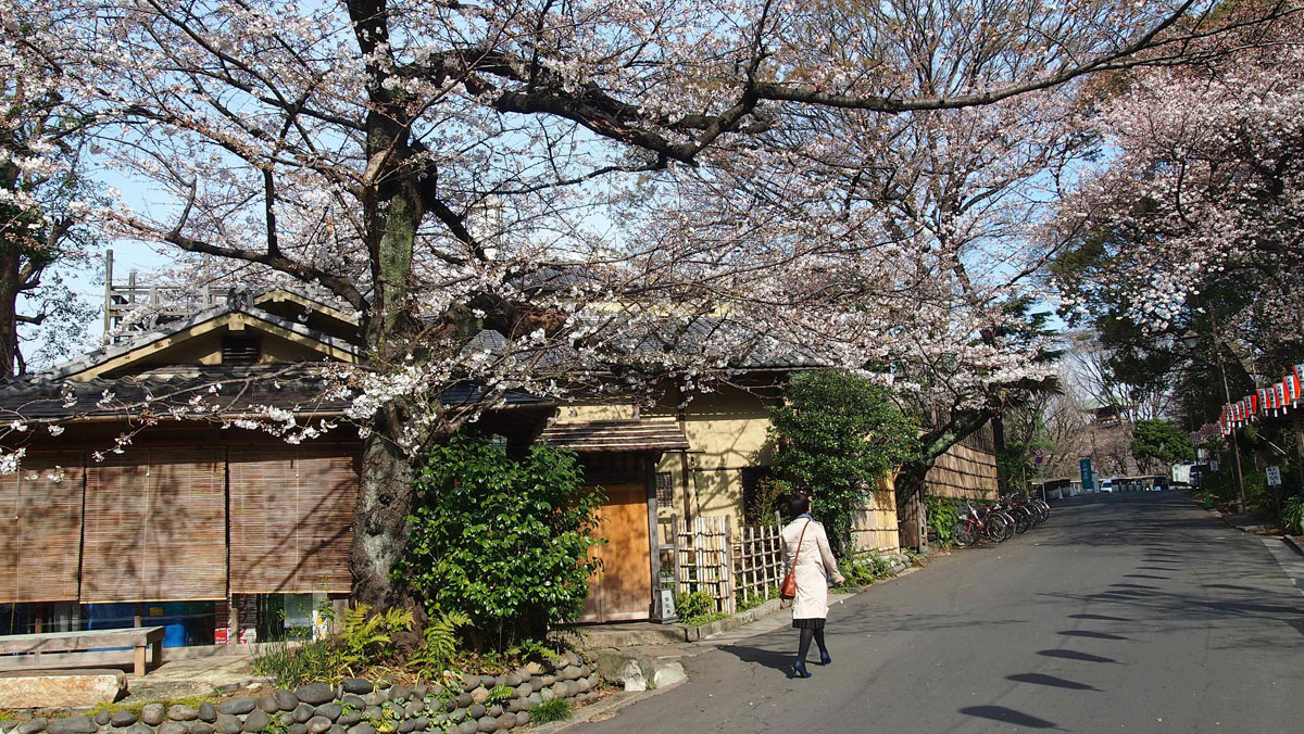 原創
            去日本東京自由行，你應該要住在哪個區？ 旅遊 第3張