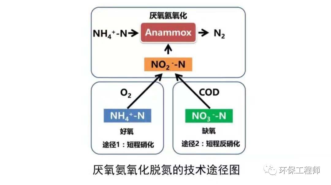 短程反硝化(partial denitrification):将no3ˉ,还原为no2ˉ而不是