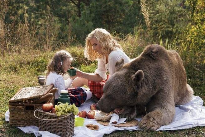 原创俄罗斯不再允许普通家庭把熊当成宠物饲养网友狗熊多可爱啊