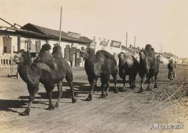 1939年前的满洲里,海拉尔老照片