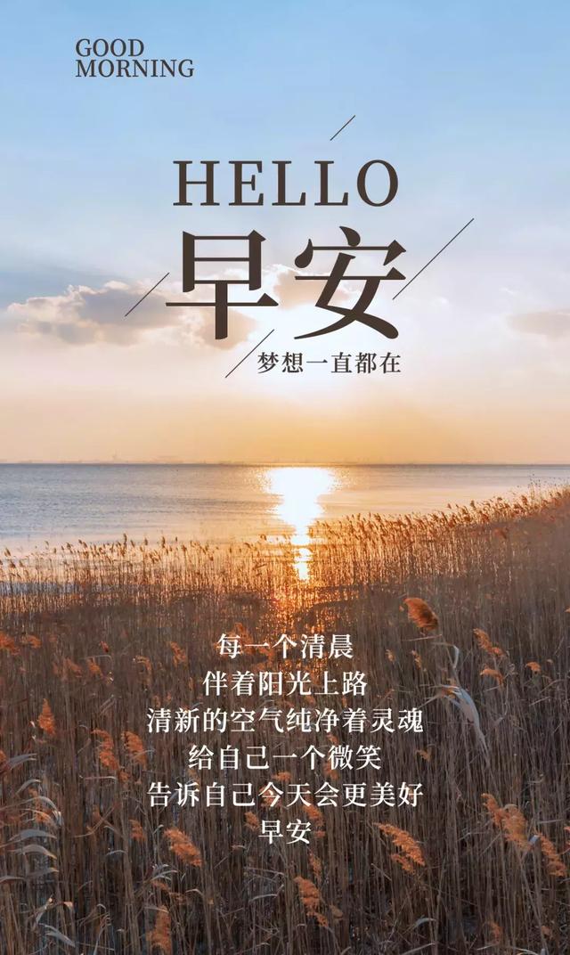 别把性格交给星座,别把行动交给做梦;周日早安