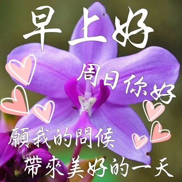 微信早上好祝福短信大全 早上好漂亮问候祝福语图片动态美图