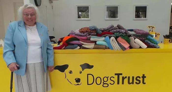 3年时间，这位89岁的英国老人，为流浪狗织了450件毛衣