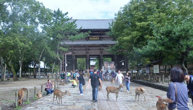 日本永居人口_日本人口图(2)