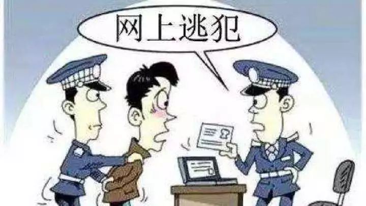 流动人口在逃_人口流动(3)