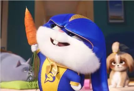 《爱宠大机密2》在7月5日上映。这一部电影延续了《爱宠大机密》的故事，讲述了宠物们在我们出去工作