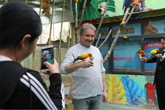 视听盛宴来袭!濮阳要举办电音节、灯光展门票还能半价!地址就在