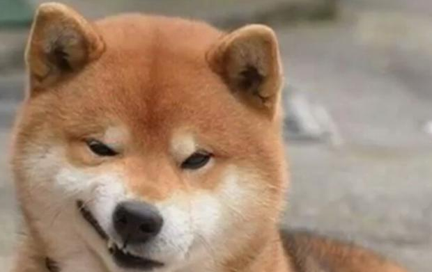 ϵЦ,ԲȮ΢Ц