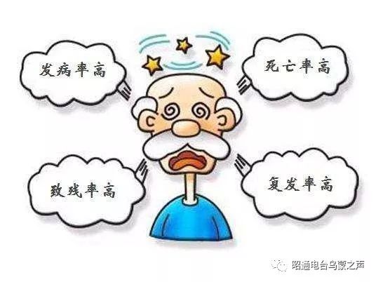 "脑卒中"(cerebral stroke)又称"中风","脑血管意外"(cerebral