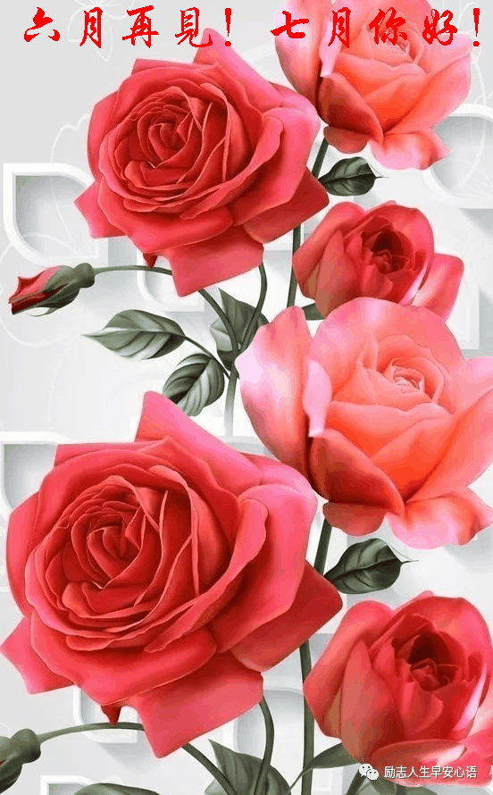 552_890 竖版 竖屏