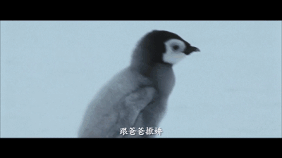 400_225