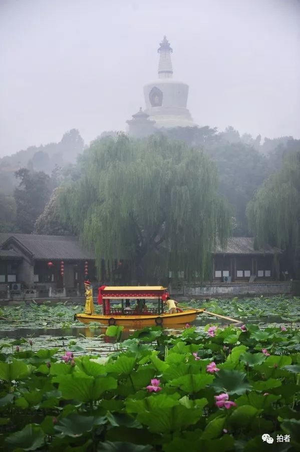 “史上最热5年”：解锁京城最全避暑方式