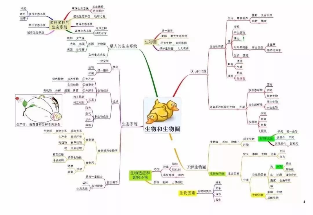 初中各科思维导图全汇总!涵盖三年所有知识点,建议人手一份!