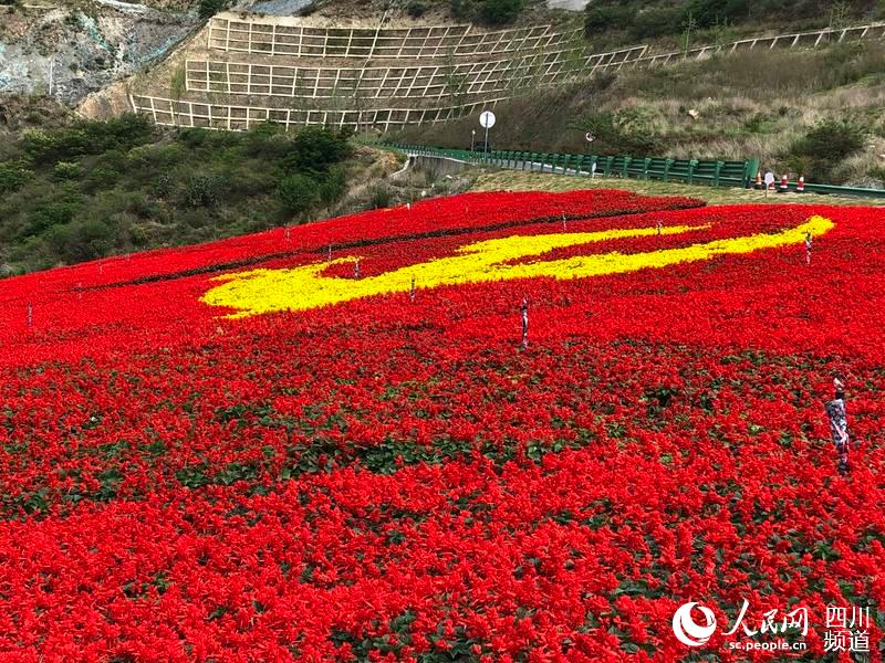 四川泸定县鲜花绘党旗