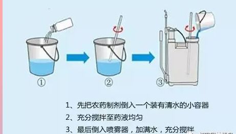 园林绿化知识小百科(图3)