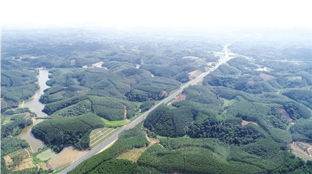 贵隆高速预计本月建成通车 宾阳武鸣隆安之间将添便捷通道 明升88注册