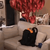 搞笑GIF:哥们如此优秀,发型一定要搞的萌萌哒 凯发彩票注册