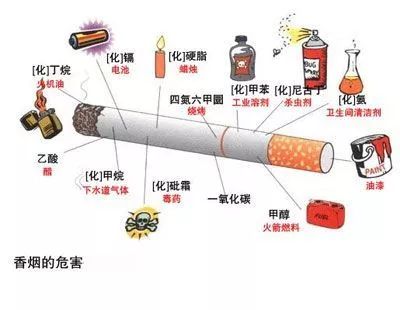 抽烟戒不了?每天喝一物,吸走20年的烟毒,给肺洗个澡!