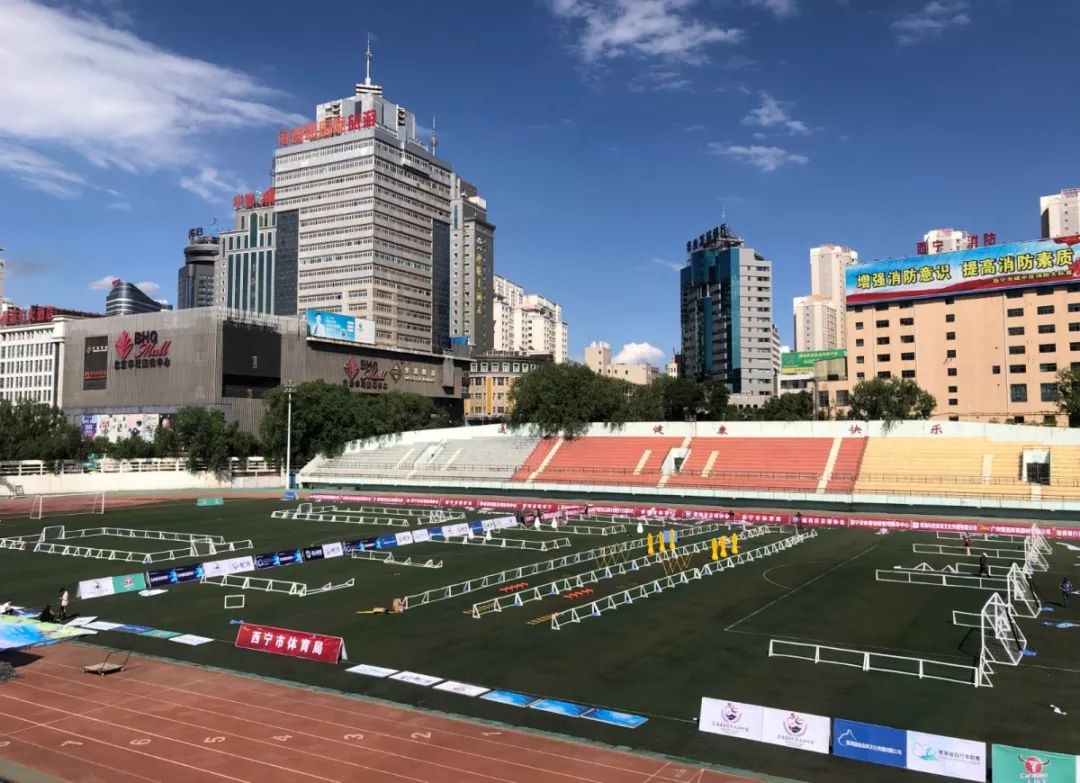 2019年童心向党庆祝建国70周年西宁地区幼儿足球大会暨亲子足球嘉年华