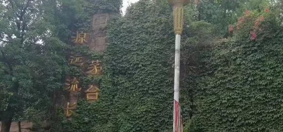 【1024·关注】国酒茅台”改名了! 立即博真人