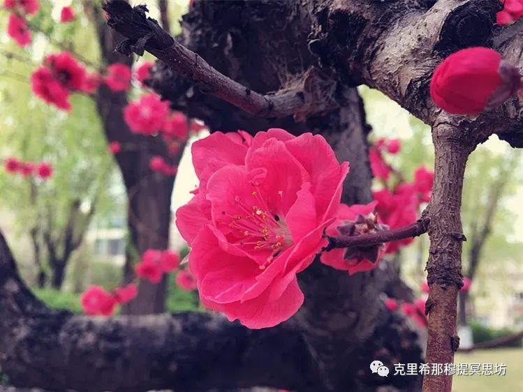 【心与物】与你内心的寂静相遇 诚博平台