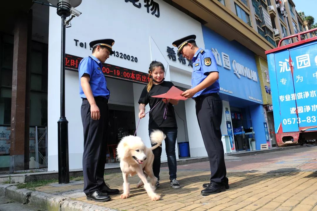 《嘉兴市养犬管理条例》备受关注的