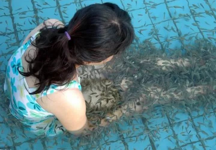 女子享受鱼疗太舒服,没忍住做了点事,结果鱼全死了,商家索赔5万