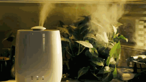 5c2bddc1042a4e2ab8275183ddf4f378.gif