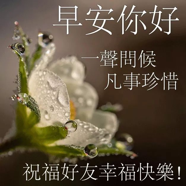 7月早晨图片问候语 早晨祝福表情包