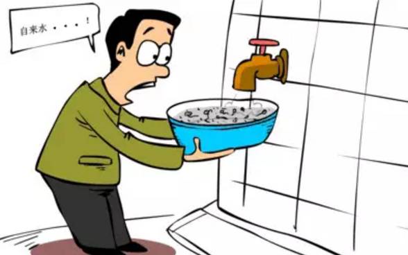 梦到自己掉茅坑，解析梦境背后的深层含义与心理启示