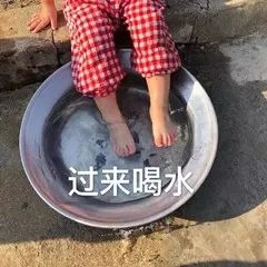 【五星推荐】之凌淑芬《好学生》