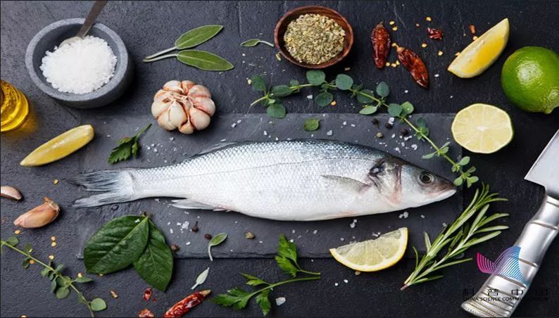 鱼多久不喂会被饿死 6f240967bbca48b5ac4532c5d93f17f4.jpeg