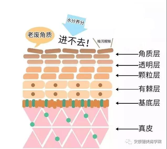 如何科学地去角质