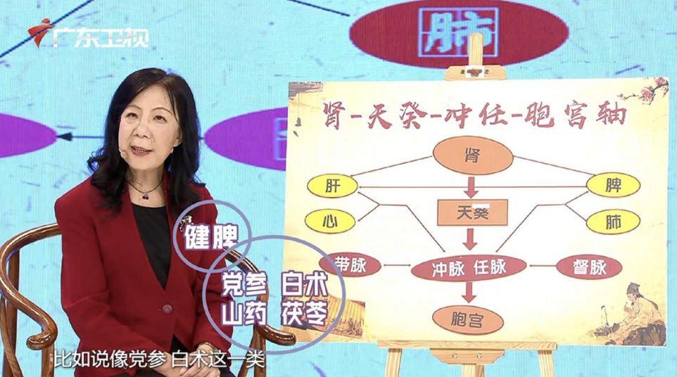 五七则阳明脉衰,六七则脾不好,七七肾气虚直到天癸结,因此养好脾是