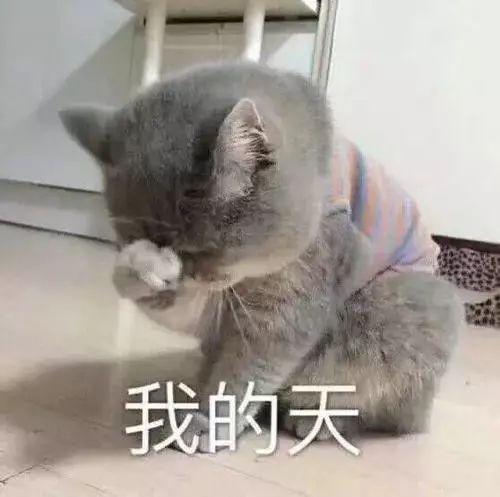 没错,我是一个莫得感情的美白机器 凯时娱乐app官网