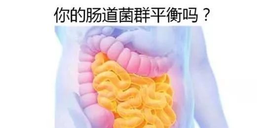 7be9d256ff614df4ab2606c8699a7099.jpeg