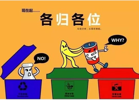 都江堰市胥家镇垃圾分类从源头抓起 让群众“随手扔”变“随手分” 狗万世界杯买球最佳网站