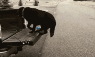 搞笑GIF:我是不是漂亮的有点过分了,有没有感觉被融化了呢 澳门威尼斯人在线